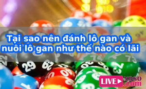 Tại sao n&ecirc;n đ&aacute;nh l&ocirc; gan v&agrave; nu&ocirc;i l&ocirc; gan như thế n&agrave;o c&oacute; l&atilde;i